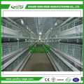 Quality OEM automatic broiler feeding system